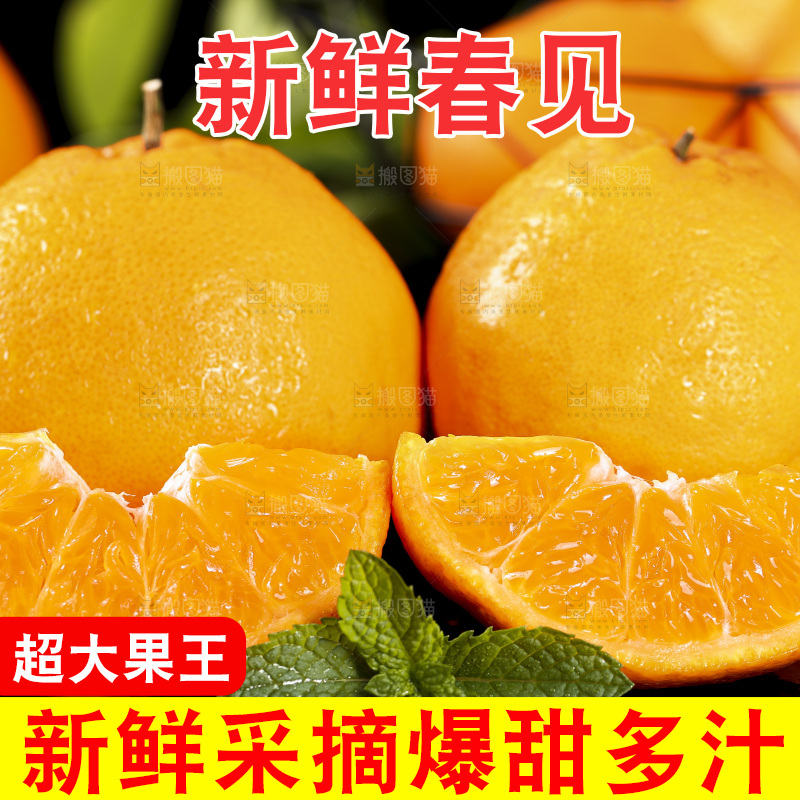 石板上摆放着四川春见耙耙柑