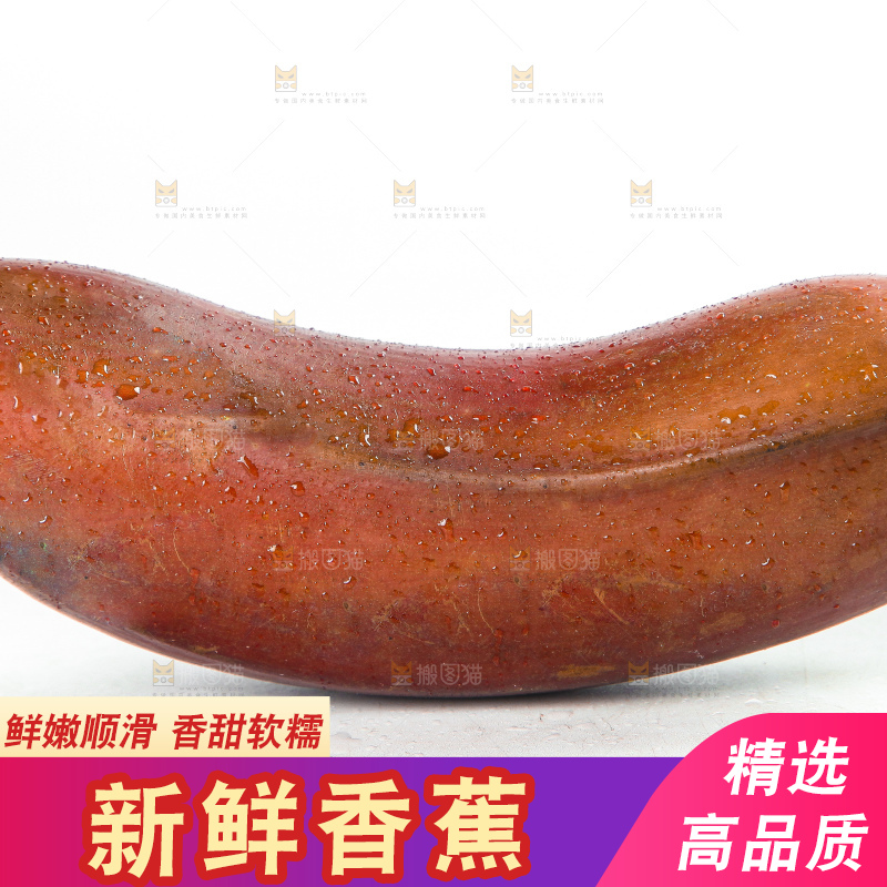 白底上的红皮美人蕉