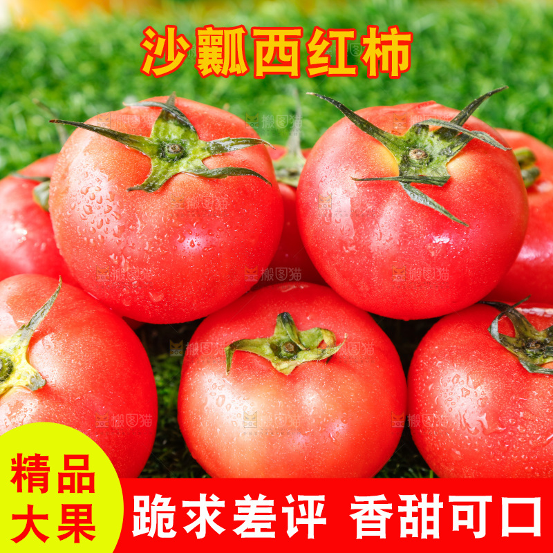 草地上的一堆新鲜西红柿