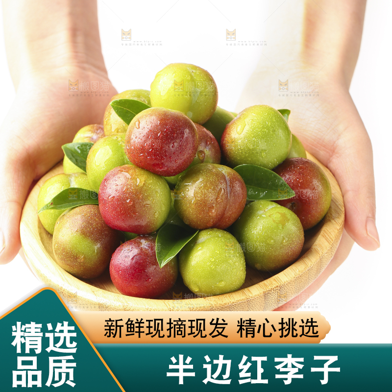 手里捧着半边红脱骨李
