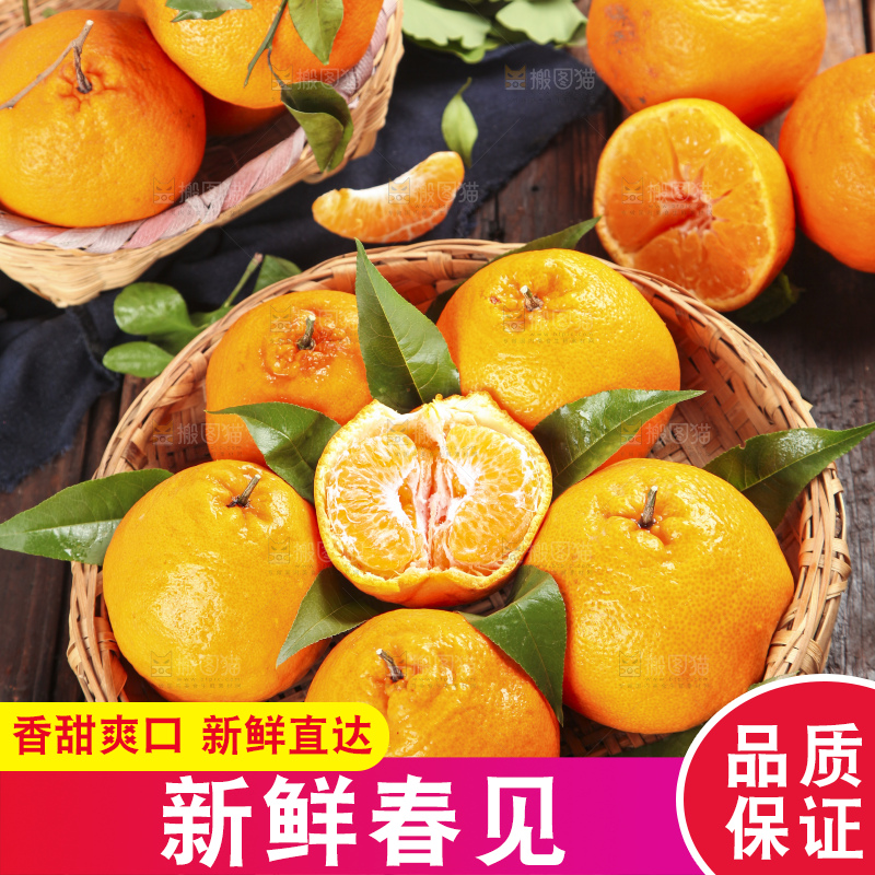篮子里装着一堆四川春见耙耙柑
