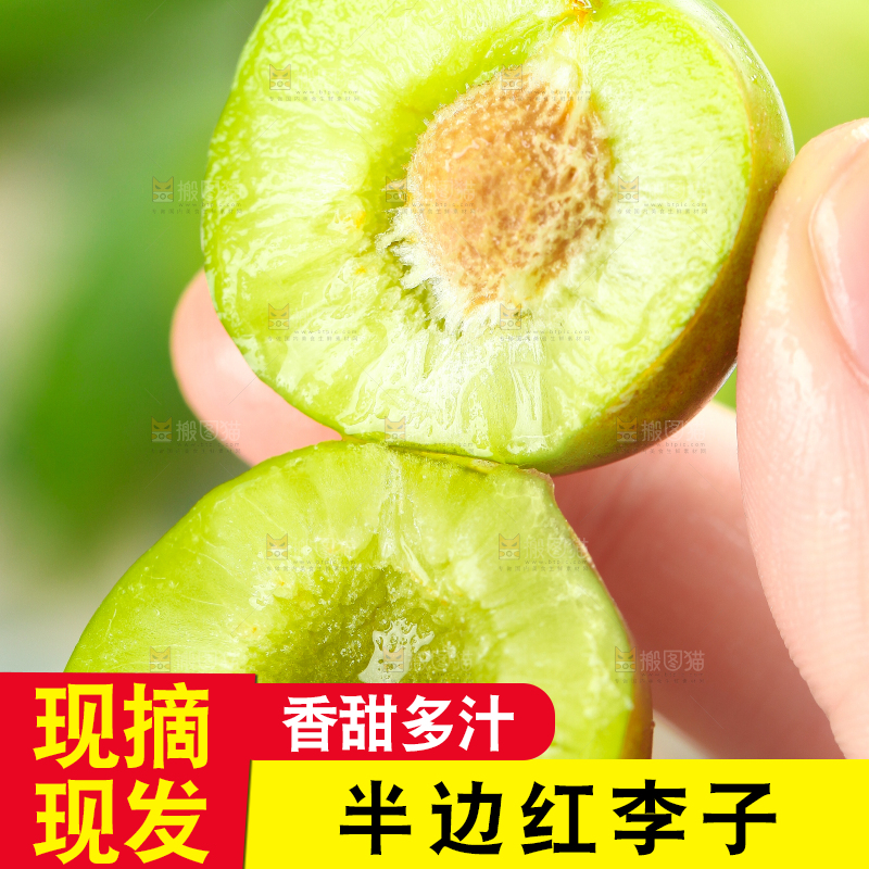 手里拿着脆红李
