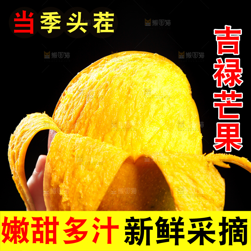手里拿着四川吉禄芒