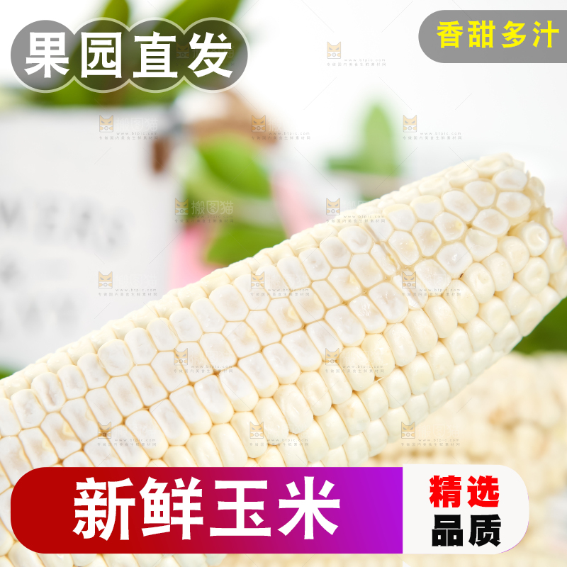 浅底上的牛奶水果玉米
