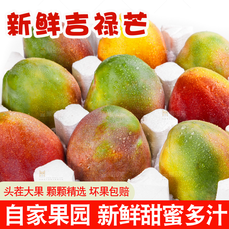箱子里装着吉禄芒