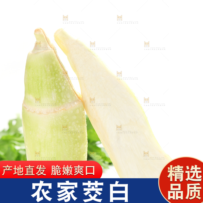 白底上的茭白
