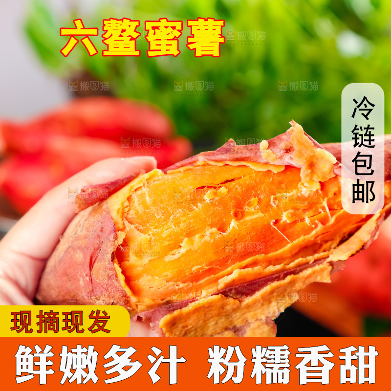 手里拿着板栗薯