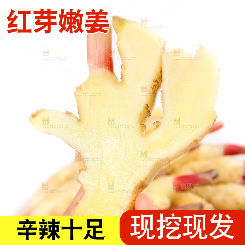 白底上的红芽姜