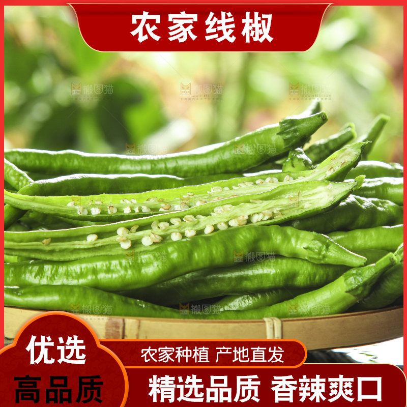 篮子里装着青线椒