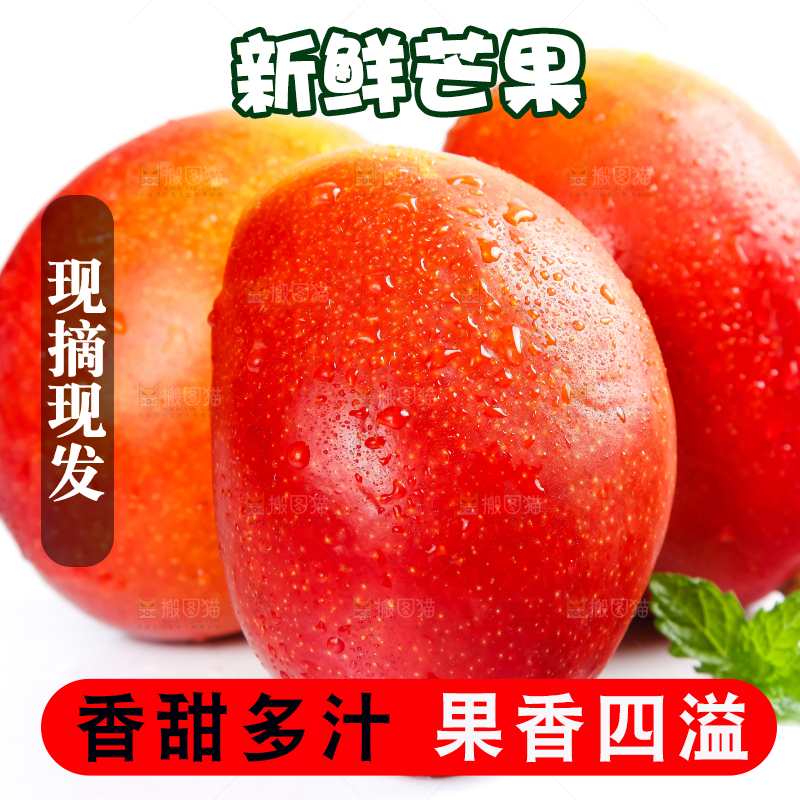 白底上放着爱文芒