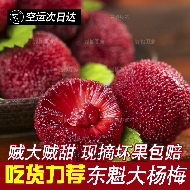 杨梅
