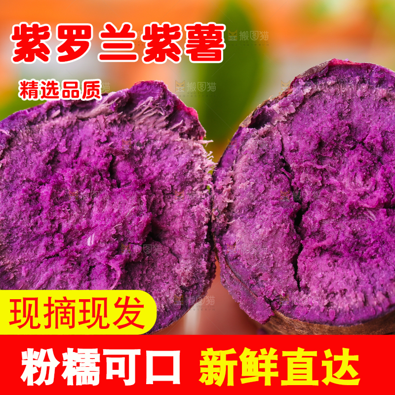 手里拿着紫番薯