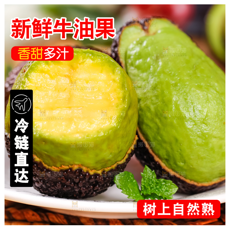 浅底上的巨无霸牛油果