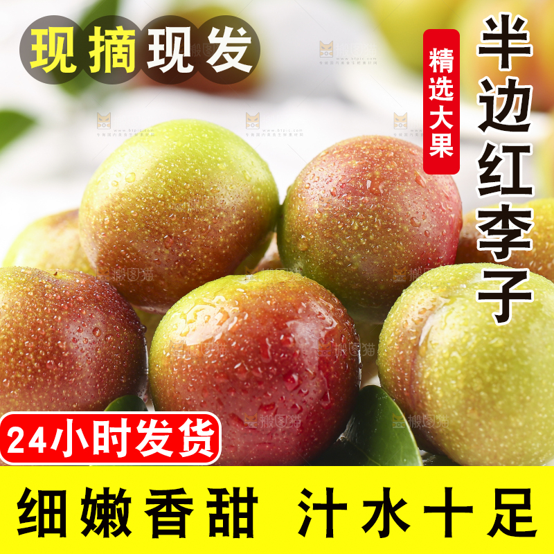 石板上摆放着四川茵红脱骨李