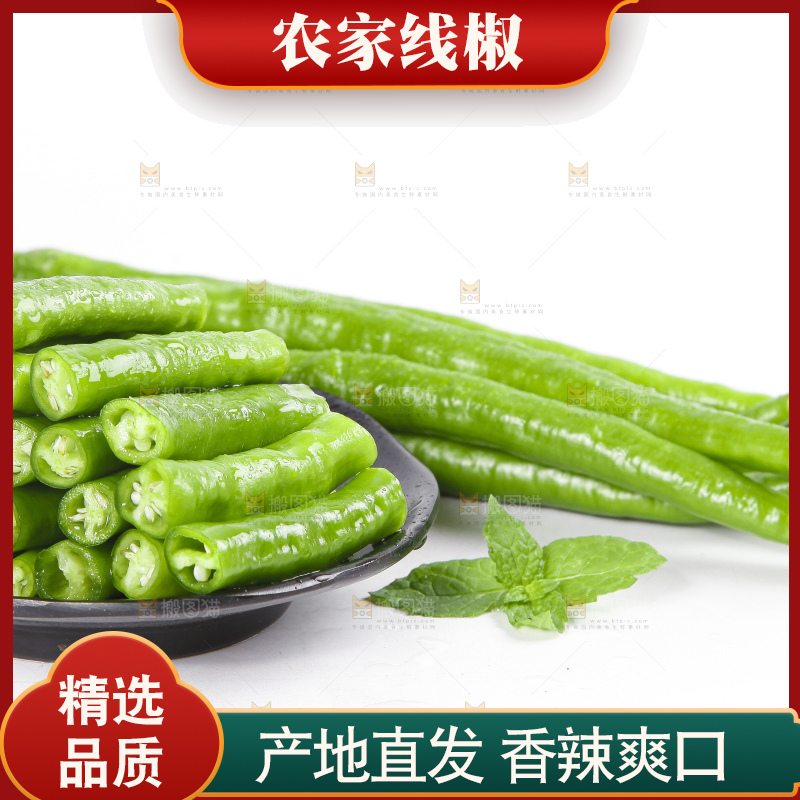 白底上的二荆条辣椒