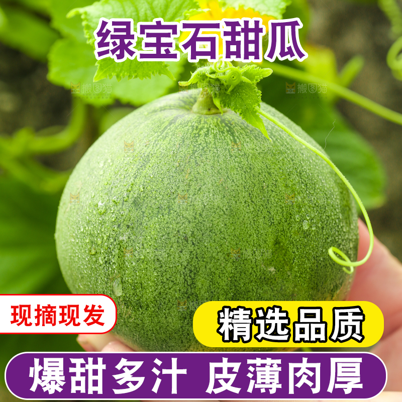 手上拿着绿宝甜瓜