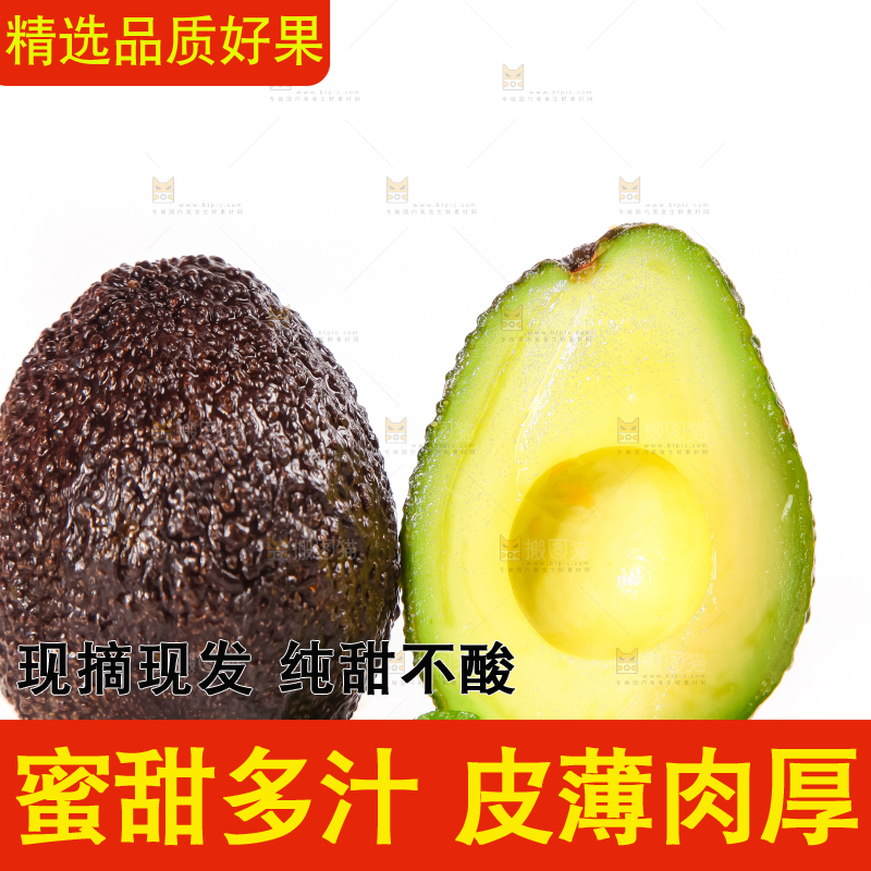 白底上的墨西哥牛油果