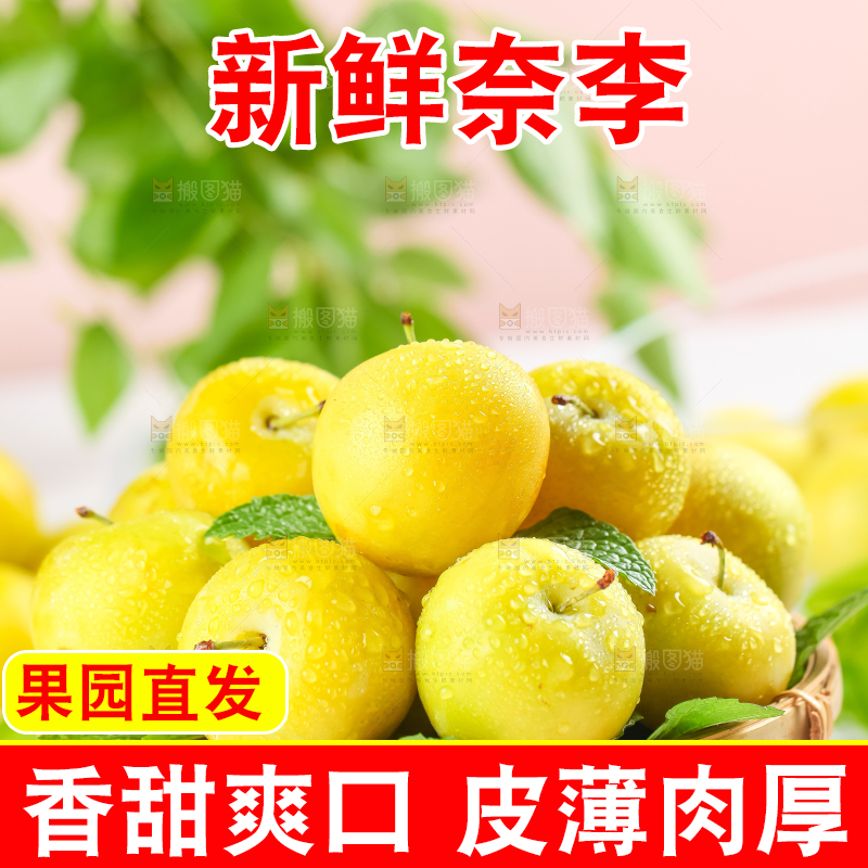 亮底上的九峰山黄金奈李