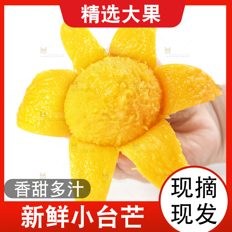 手里拿着小台农芒果肉