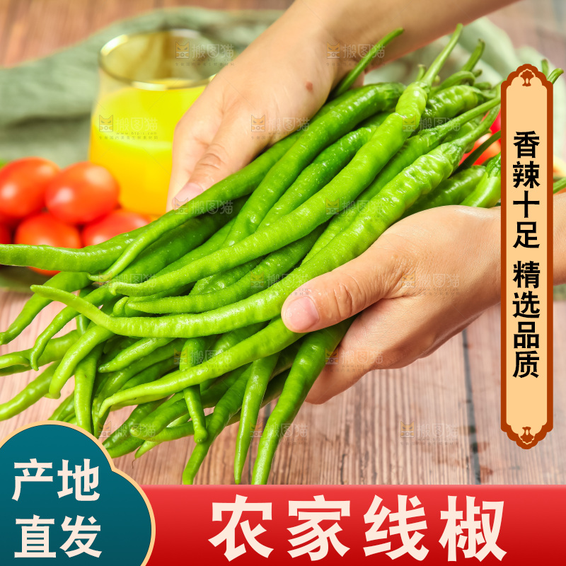 手里拿着一把线椒
