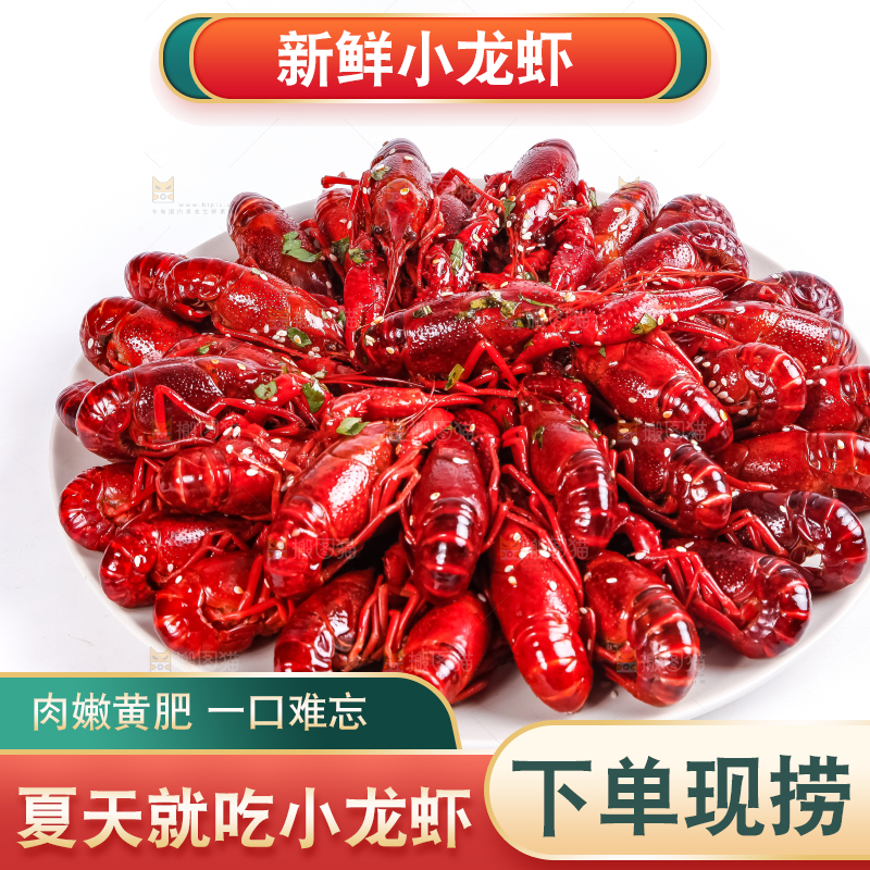 白底上放着一盘蒸虾