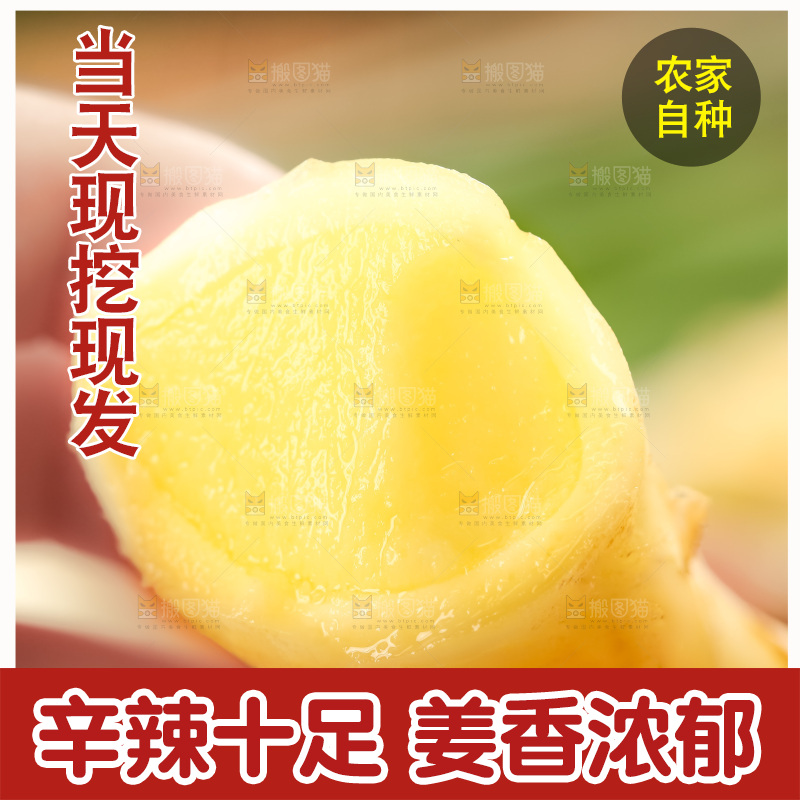 木板上的山东红芽生姜