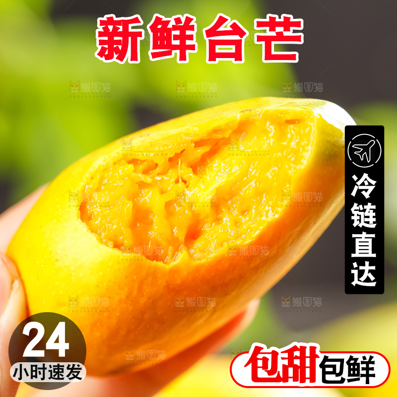 手上拿着海南台农芒果