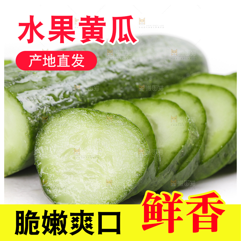 白底上的山东水果黄瓜