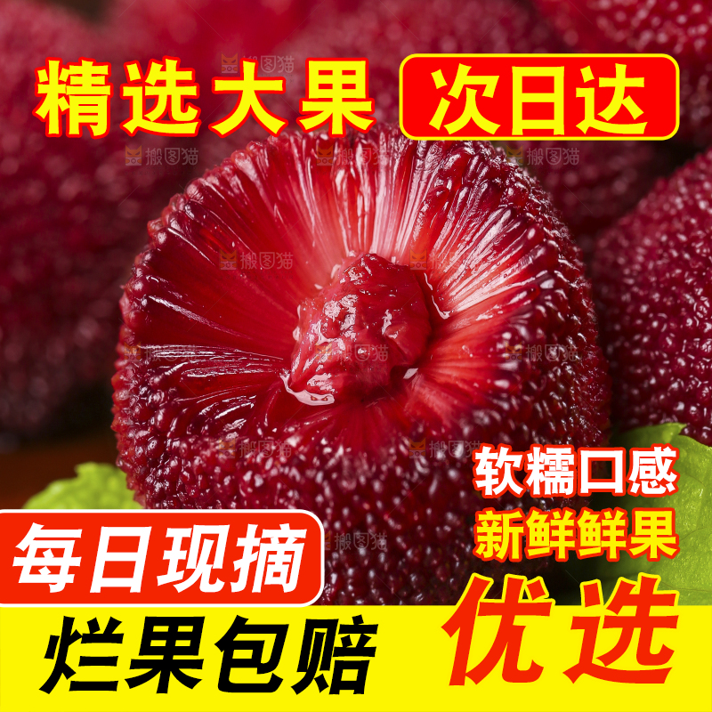 木板上摆放着东魁杨梅
