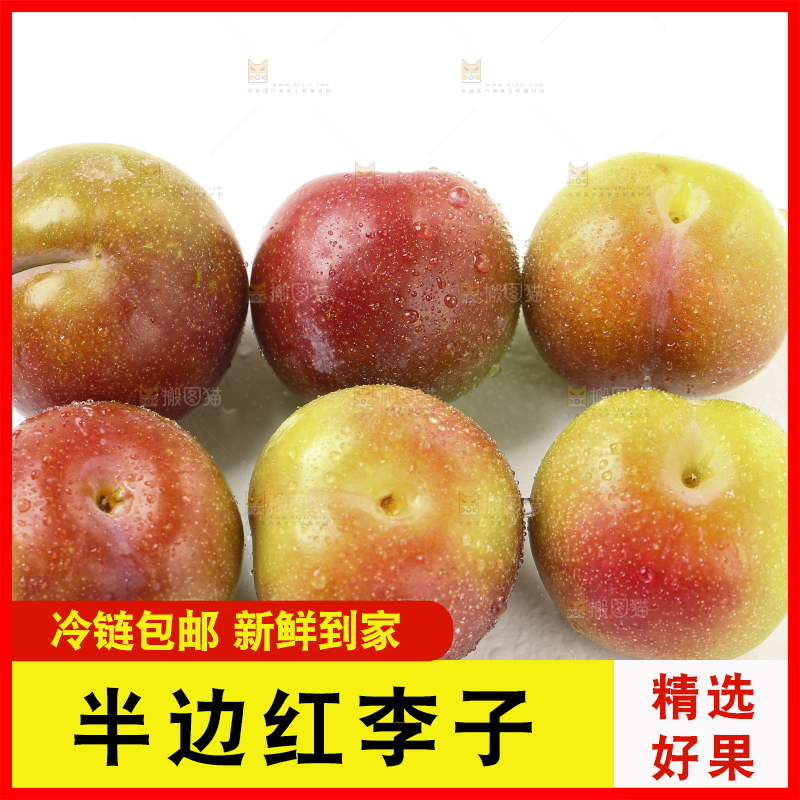 白底上的四川茵红脱骨李