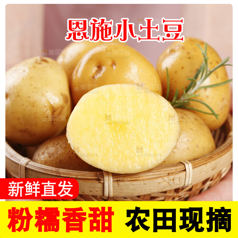手里拿着迷你小土豆