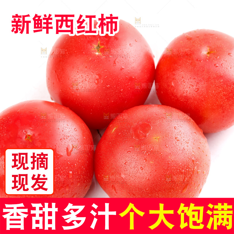 亮底上的新鲜西红柿