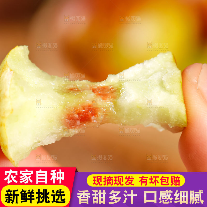 手里拿着沾化冬枣