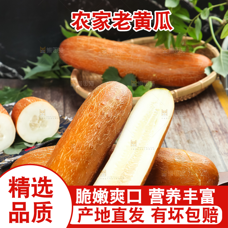 深底上放着老黄瓜