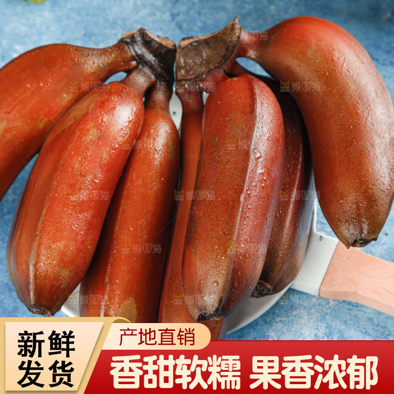 蓝底上摆放着红皮美人蕉