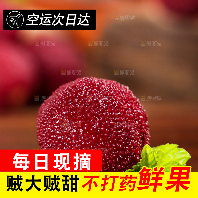 木板上的高山大杨梅