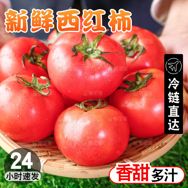 草地上的一堆新鲜西红柿