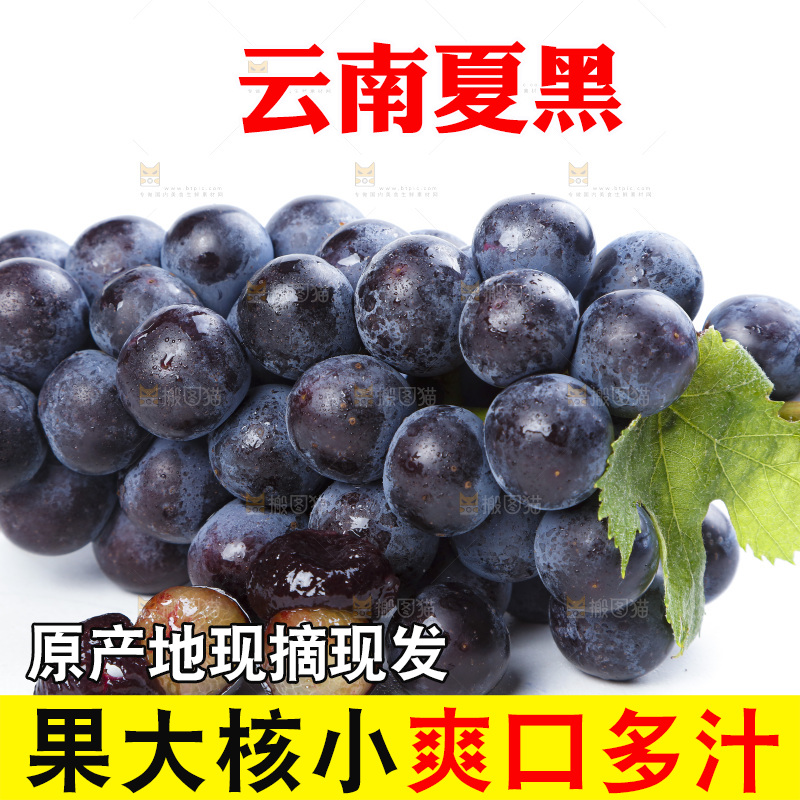 白底上的巨峰葡萄