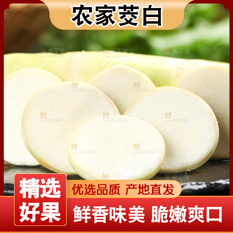 石板上的云南茭白