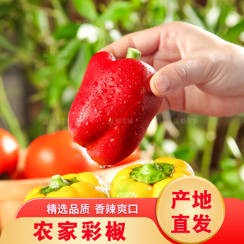手里拿着新鲜辣椒