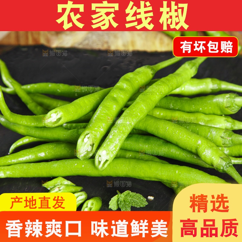石板上放着青线椒
