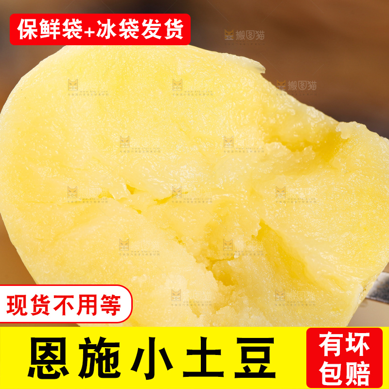 深底上的宜昌小土豆