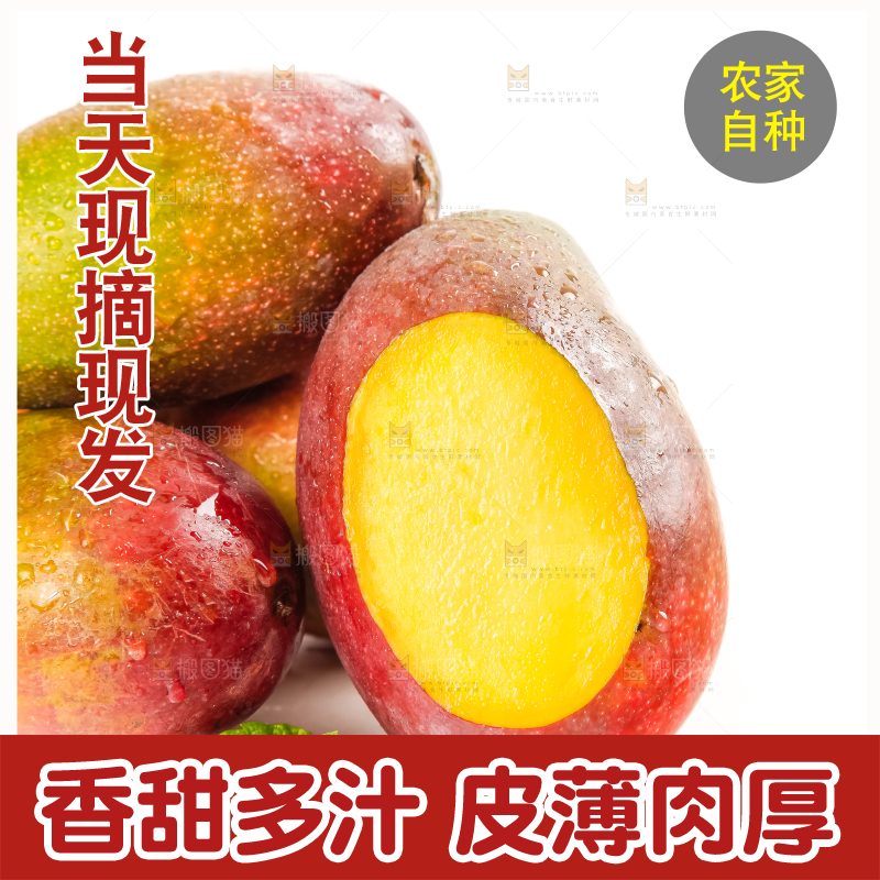 白底上的四川吉禄芒