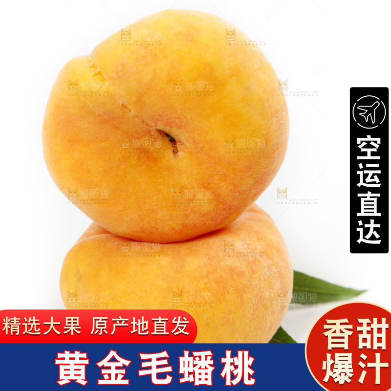 白底上的蒙阴毛蟠桃