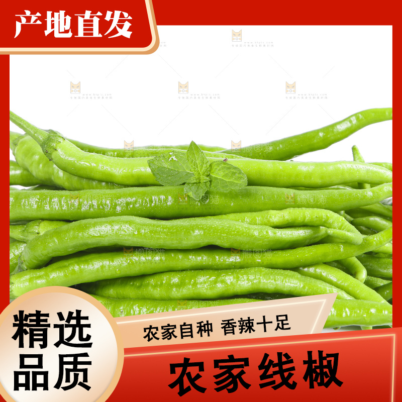 白底上的二荆条辣椒