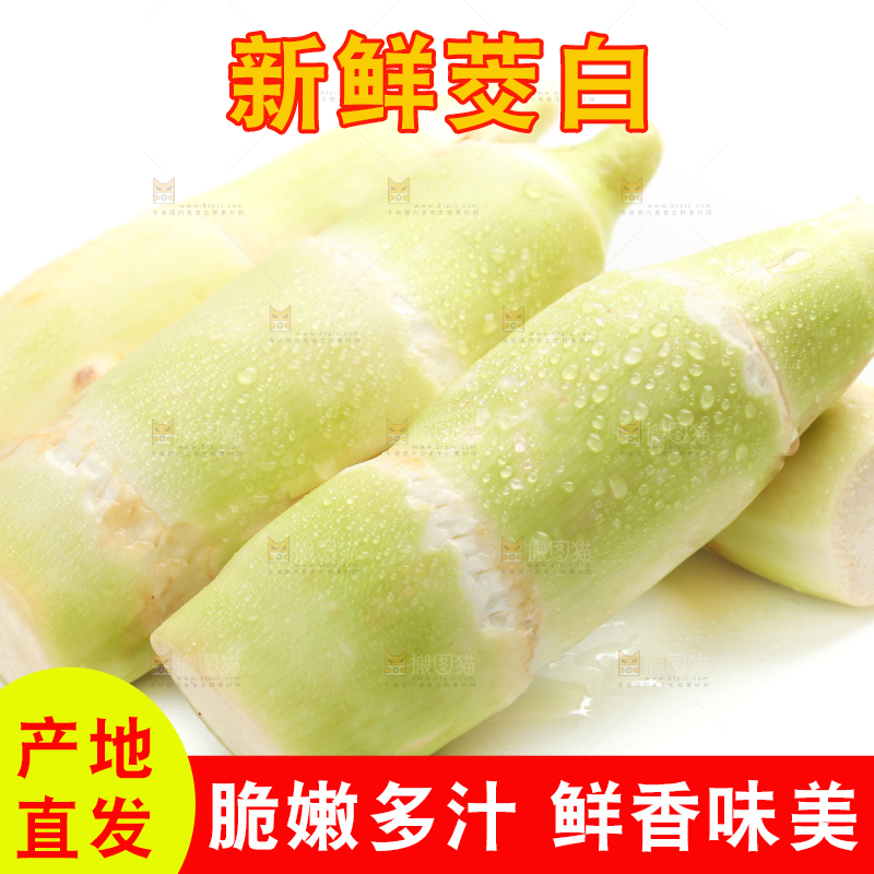 白底上的茭白