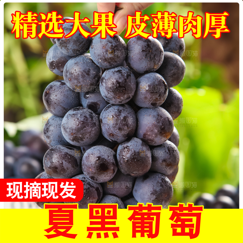 白格子底上放着夏黑葡萄