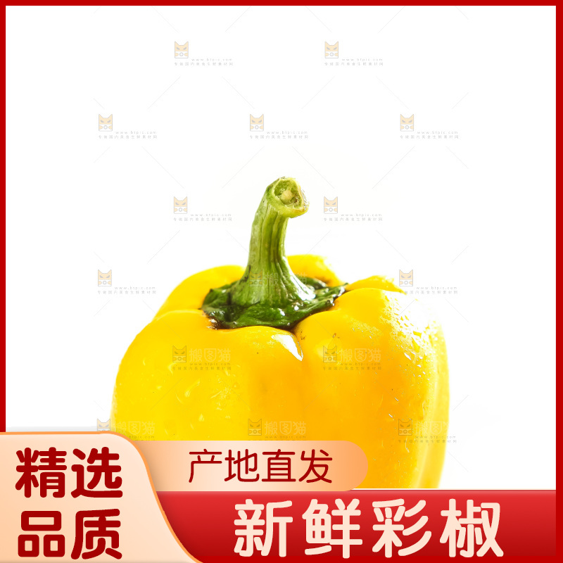 白底上放着灯笼椒