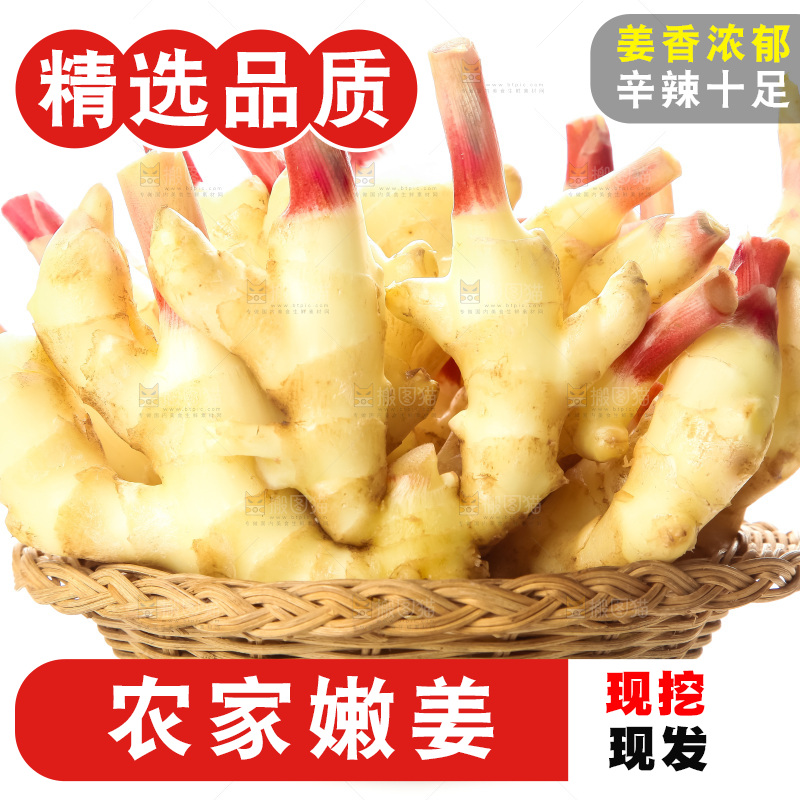 白底上的红芽嫩姜