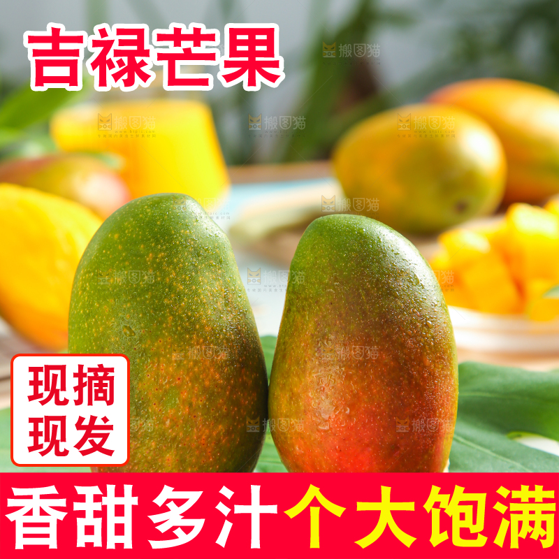 白格布底上的芒果